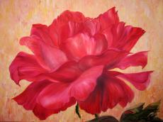 scarlet-rose 60х80, холст, масло.jpg